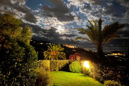 um jardim com arbustos e palmeiras à noite em Pietraverdemare em Vallebona
