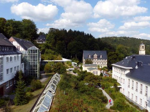 a view of a town with a train in the middle at Rehaklinik Thermalbad Wiesenbad in Thermalbad Wiesenbad