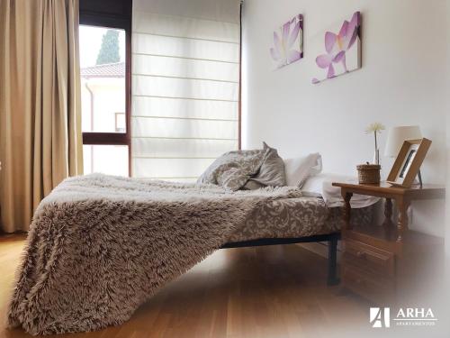 Apartamentos Arha – Photos 4