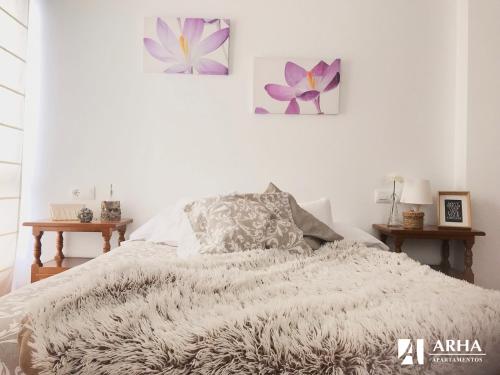 Apartamentos Arha – Photos 3