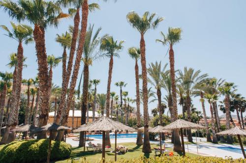 Hotel Alicante Golf, Alicante – Bijgewerkte prijzen 2022