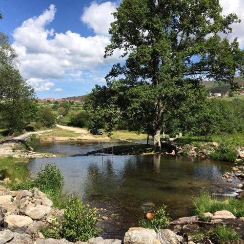a river with a tree in the middle of it at Ninho da Avó Selvagem in Montalegre