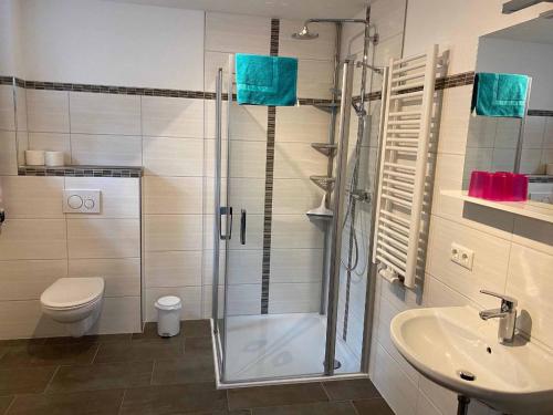 een badkamer met een douche, een toilet en een wastafel bij Zum Kramerwirt in Elisabethszell