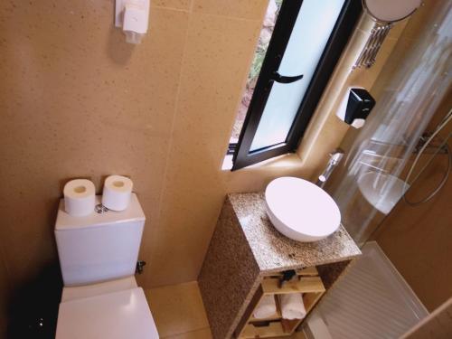 a bathroom with a toilet and a sink and a window at Ninho da Avó Selvagem in Montalegre