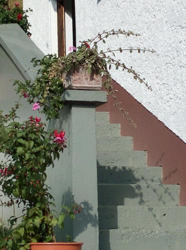 a staircase with flowers on the side of a building at Ferienhaus Gassner in Navis