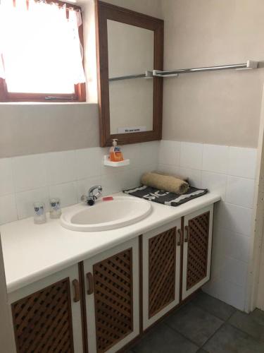 a bathroom with a sink and a mirror at Haus Barbara Guest House in Bredasdorp