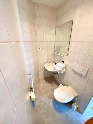 a bathroom with a toilet and a sink and a mirror at Pleschinhof in Velden am Wörthersee