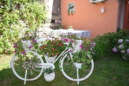 a white bike with flowers in baskets on the grass at Apartment Sleep'n Drive in Belgrade