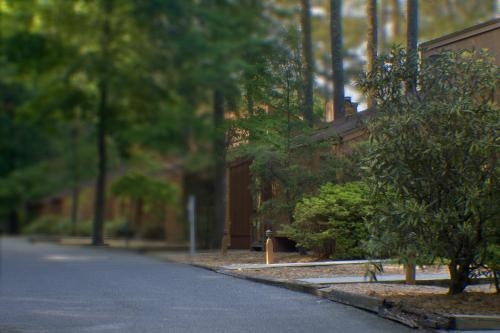 an empty street with a building and a tree at Foxhunt at Sapphire Valley in Sapphire