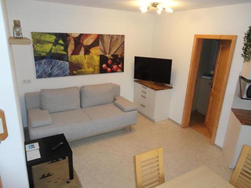 ein Wohnzimmer mit einem Sofa und einem Flachbild-TV in der Unterkunft Appartment Paul in Alpbach