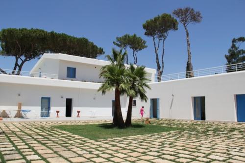 a palm tree in front of a white building at Campo Allegro in Santa Ninfa