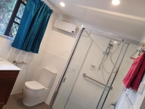 a bathroom with a shower and a toilet at Gowrie Agapanthus in Singleton