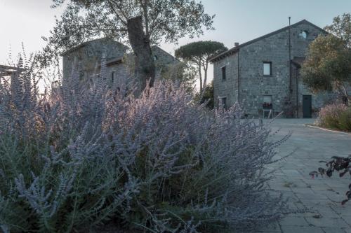 a garden with purple plants in front of a stone building at i Cacciagalli Wine Resort in Teano