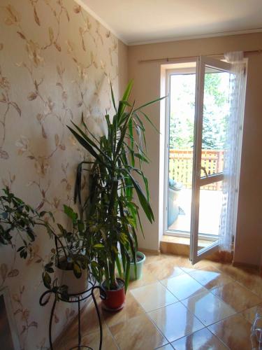 a room with potted plants and a sliding glass door at Gospodarstwo Agroturystyczne Lucynka in Urszulin