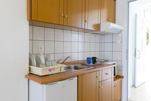 Kuchyň nebo kuchyňský kout v ubytování Villa Avra