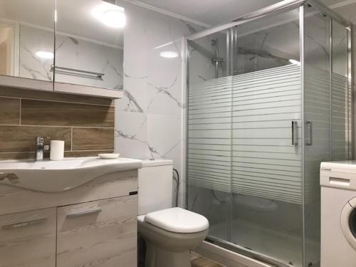 a bathroom with a shower and a toilet and a sink at BALATSOURAS APARTMENT in Paleros