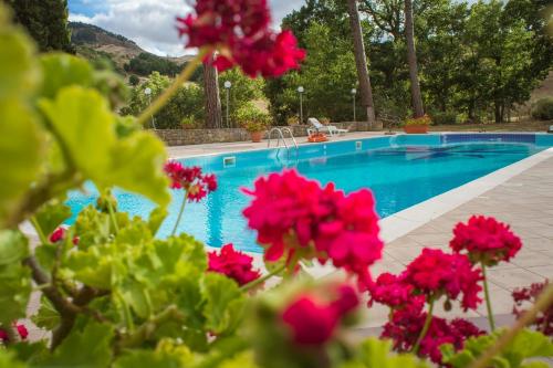 a swimming pool with pink flowers in front of it at Casale Villa Rainò in Gangi