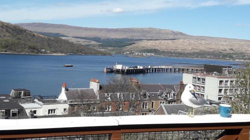 a seagull sitting on top of a balcony overlooking a body of water at Old Harbour Master's self-catering apartment in Fort William