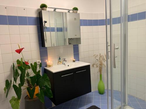 a bathroom with a sink and a shower with a mirror at Ferienwohnung Raabklamm in Arzberg