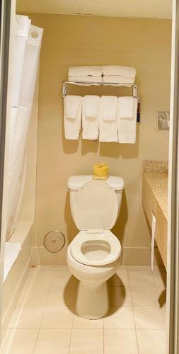 a bathroom with a white toilet and towels at Baymont by Wyndham Latham Albany Airport in Latham