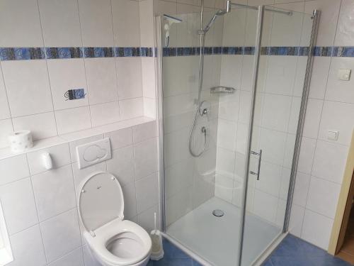 a bathroom with a toilet and a glass shower at 1-Zimmer-Wohnung Nähe Playmobil Funpark in Oberasbach