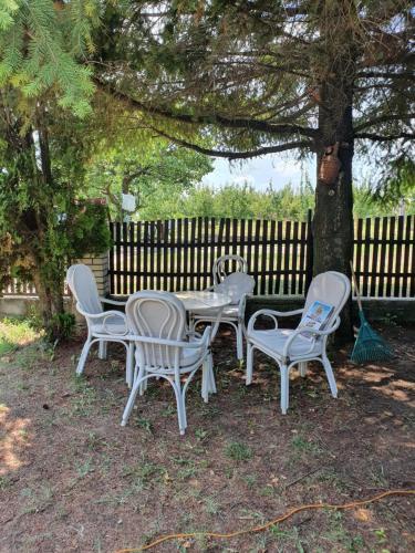 a group of chairs and a table under a tree at Vinogradski konak Belgrade, Sopot,Kosmaj in Sopot