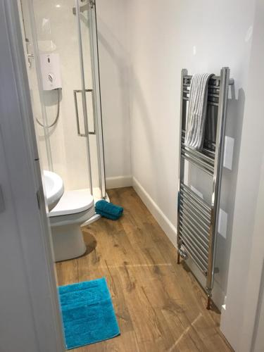 a bathroom with a toilet and a blue rug at Carrick Hills Cosy Croft STL SA-00137-F in Dunure