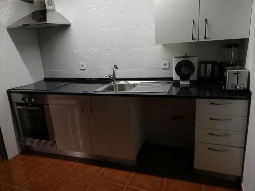 uma cozinha com um lavatório e uma bancada em House Diogo em Bemposta