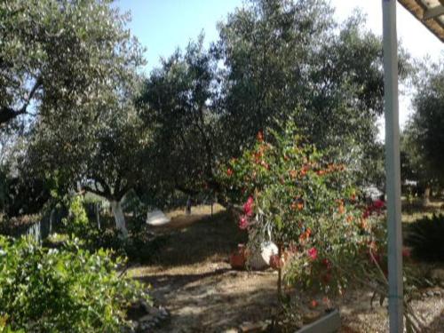 Jardin de l'établissement Sunny holiday home