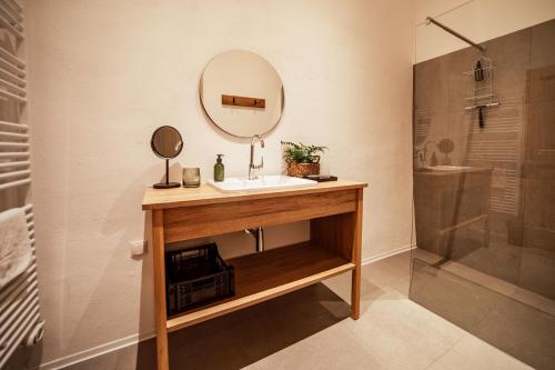 y baño con lavabo, espejo y ducha. en the salt residences en Hallein