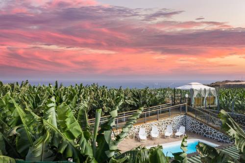 a resort with a pool in a corn field at Hacienda La Dehesa (Only Adults) in Buenavista del Norte