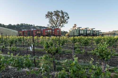 a train traveling through a field of vines at Geneseo Inn in Paso Robles