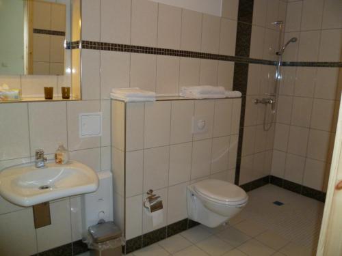 uma casa de banho com um WC, um lavatório e um chuveiro em Fahrradpension-Joachimsthal em Joachimsthal
