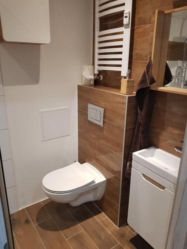 a small bathroom with a toilet and a sink at Dmuchawiec in Jelenia Góra