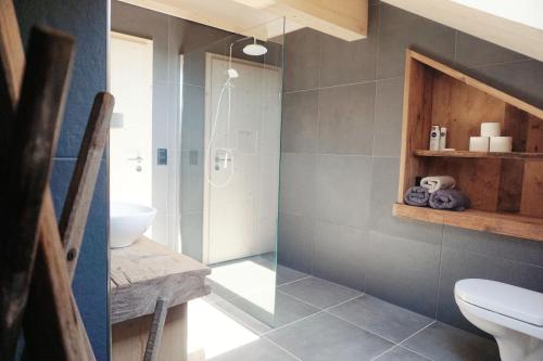 a bathroom with a shower and a toilet and a sink at NEU renoviert - Bitzi Appenzell – Mit Aussicht in Appenzell