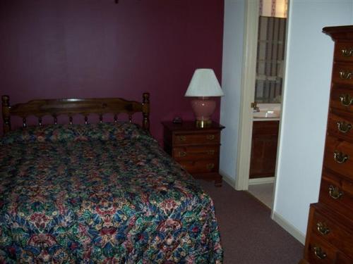 Un dormitorio con una cama y una lámpara en un tocador en IGLS Resort Villas at Innsbruck, en Helen