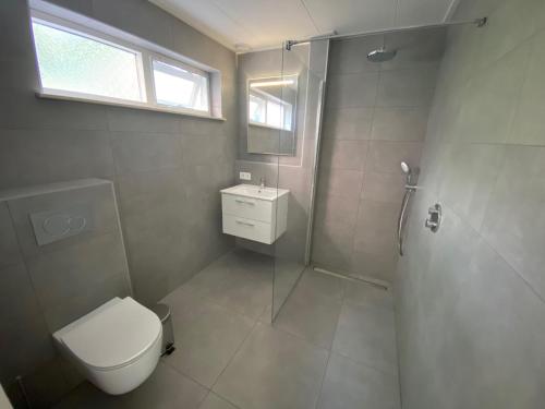 La salle de bains est pourvue de toilettes, d'une douche et d'un lavabo. dans l'établissement Appartement Duinweg, à Onstwedde