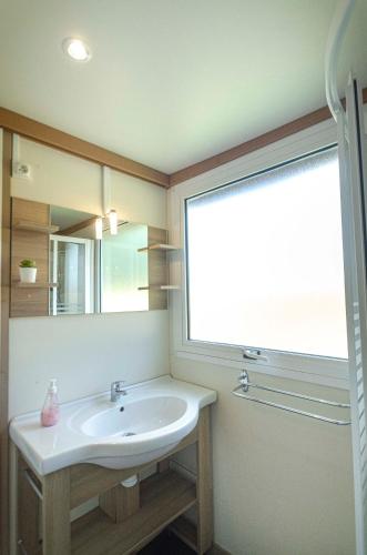 a bathroom with a sink and a mirror and a window at la ferme des epis in Ouffières
