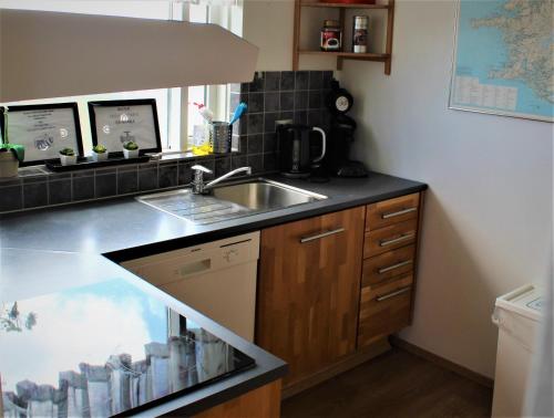 a kitchen with a sink and a counter top at Höfn Guesthouse in Höfn