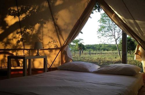 a bed in a tent with a view of a field at Pitahaya Glamping in Cabo Rojo
