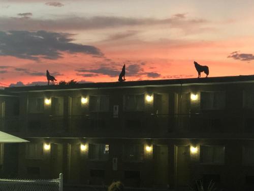 three cats on the roof of a building at sunset at Wolf Inn Hotel in Sandusky