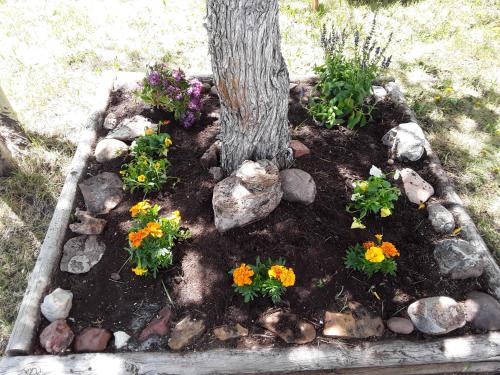 Serenity House Rental – Photos 2