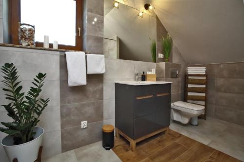 een badkamer met een wastafel en een toilet bij Dom w Lubiatowie in Lubiatowo