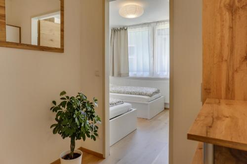 Pokój z lustrem i rośliną w obiekcie Apartment Habicht w mieście Mühlbachl