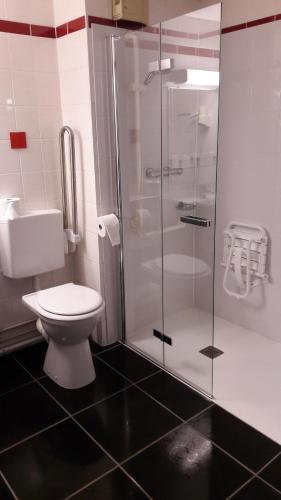 a bathroom with a toilet and a glass shower at Le Relais Des Chateaux Forts in Bitche