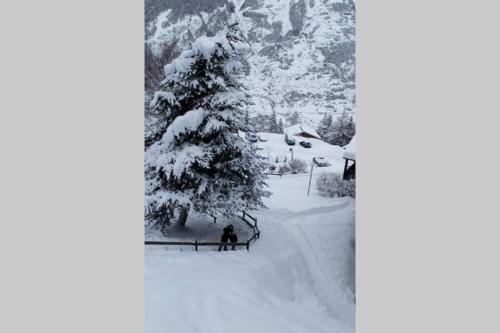 a person sitting in the snow next to a snow covered tree at appartement en chalet au pied des pistes in La Norma