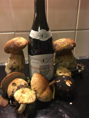 - une bouteille de vin à côté des champignons dans l'établissement Nénuphar, à Autun