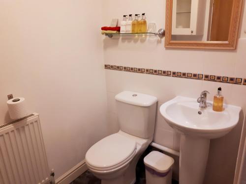 Łazienka z białą toaletą i umywalką w obiekcie Little Barn Highfields Farm w mieście Hilderstone