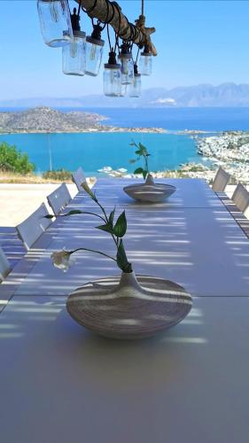 a rendering of a table with a plant on it at Villa Estée, luxury villa with private infinity pool and jacuzzi in Elounda