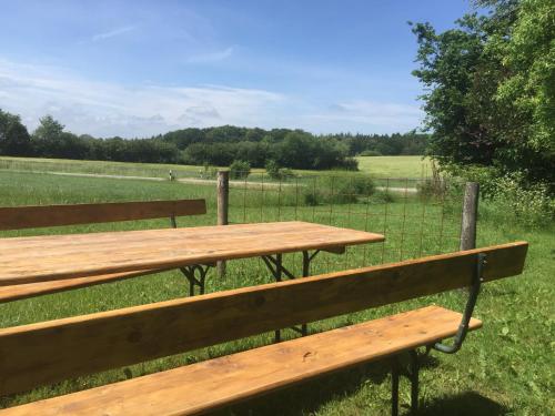 two wooden benches sitting in a field with a fence at Peanuts Hostel & Meer in Surendorf